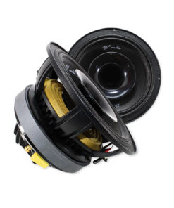 B2 Audio RAGE 8 CXP (2 WAY 8" Pro Audio driver)