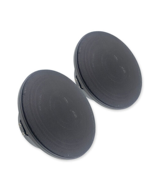 B2 Audio RAGE 8 CXP (2 WAY 8" Pro Audio driver) - Image 2
